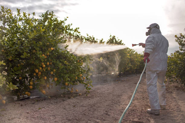 Best Wildlife Control Services  in Rice, TX