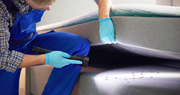 Best Best Pest Control Companies  in Rice, TX