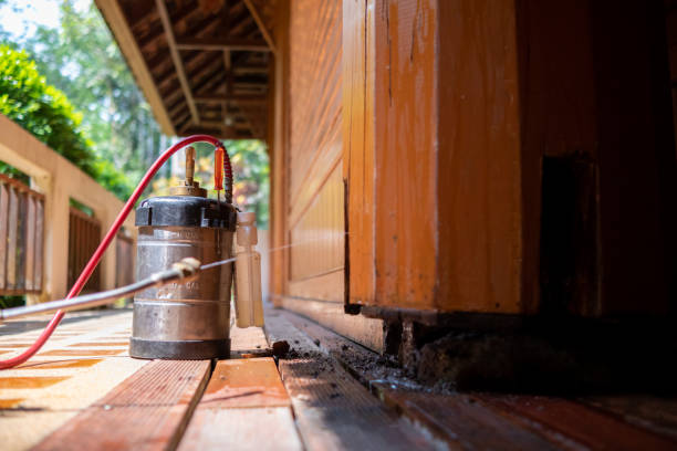 Pest Control Cost in Rice, TX