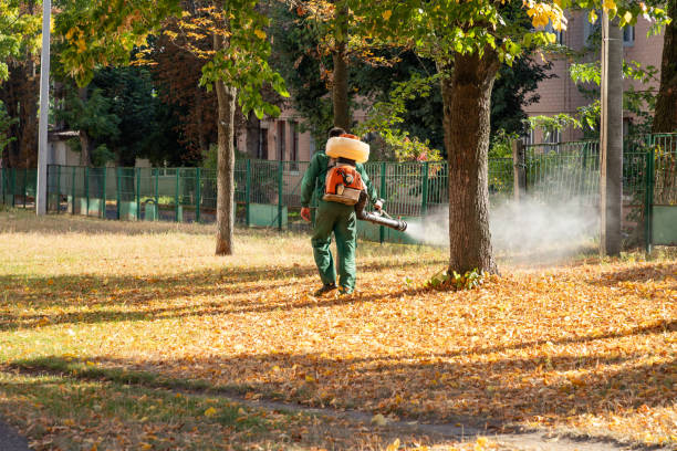 Best Best Pest Control Companies  in Rice, TX