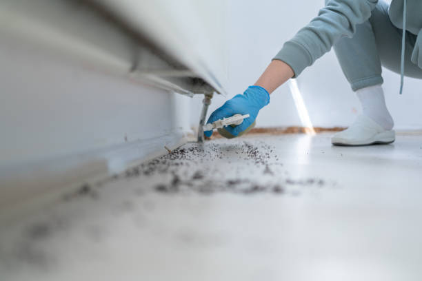 Best Emergency Pest Control  in Rice, TX