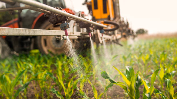 Wildlife Control Services in Rice, TX